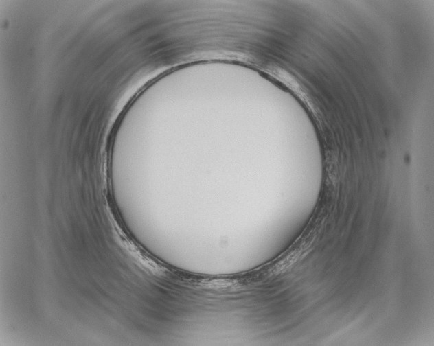 X0000062871140200602031710