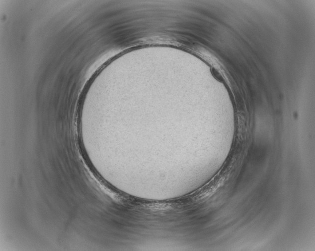 X0000062871141200602031710