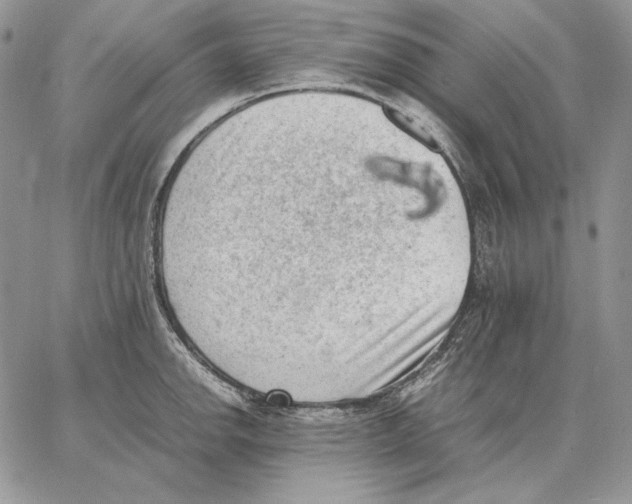 X0000062871142200602031710