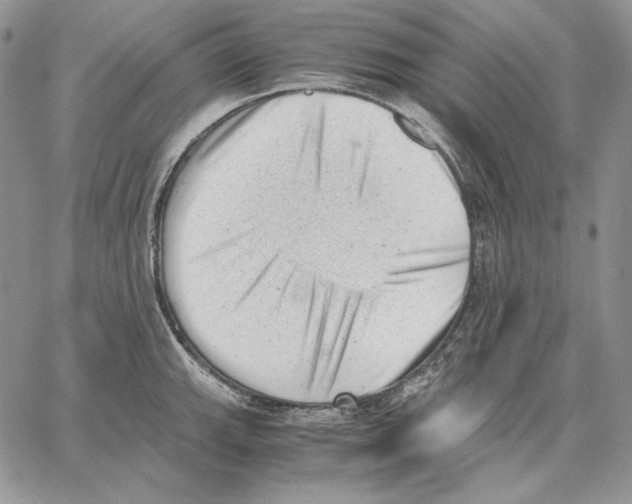 X0000062871143200602031710