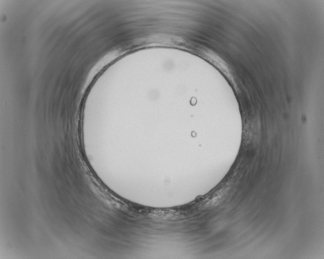 X0000062871146200602031710