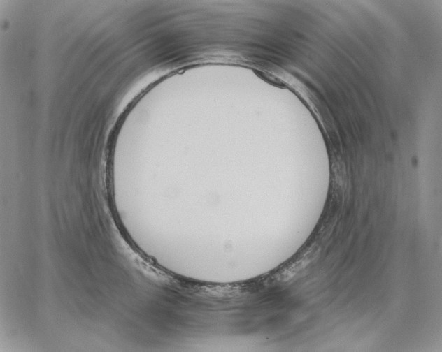 X0000062871147200602031710