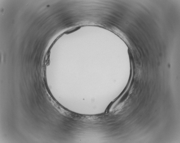 X0000062871148200602031710