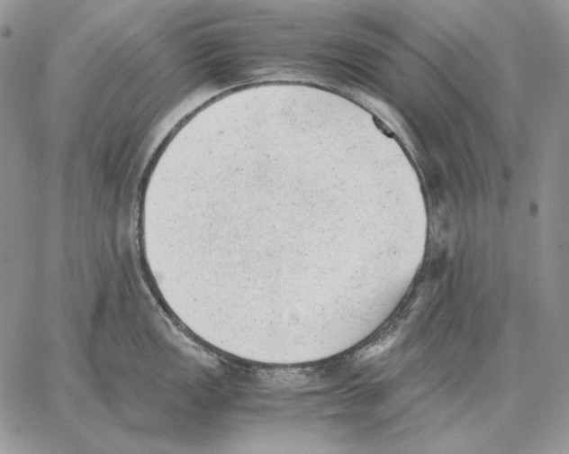 X0000062871149200602031710