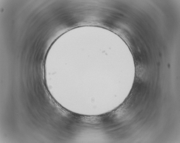 X0000062871150200602031710