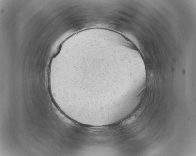 X0000062871151200602031710