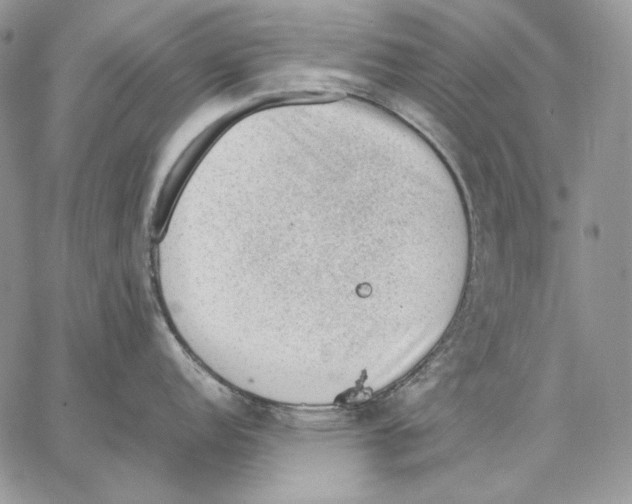 X0000062871152200602031710