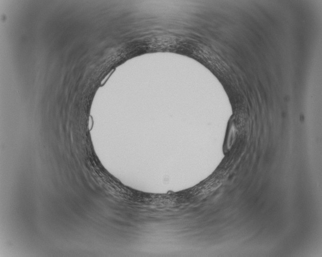 X0000062871153200602031709