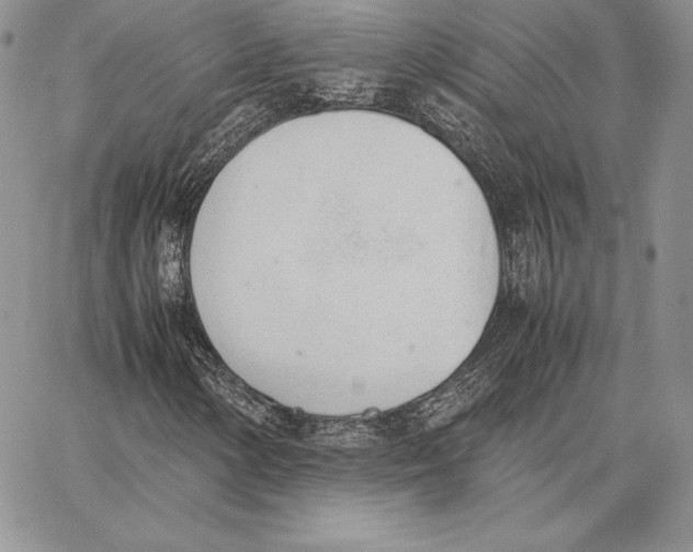 X0000062871154200602031709