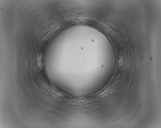 X0000062871156200602031709