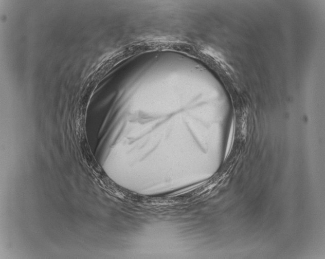 X0000062871157200602031709