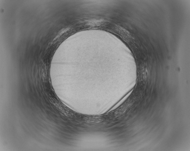 X0000062871158200602031709