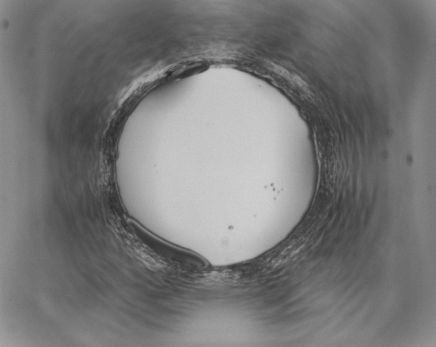 X0000062871160200602031709