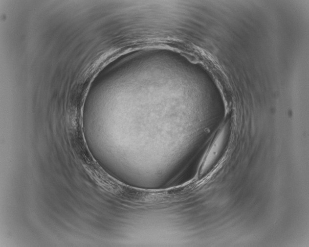 X0000062871161200602031709