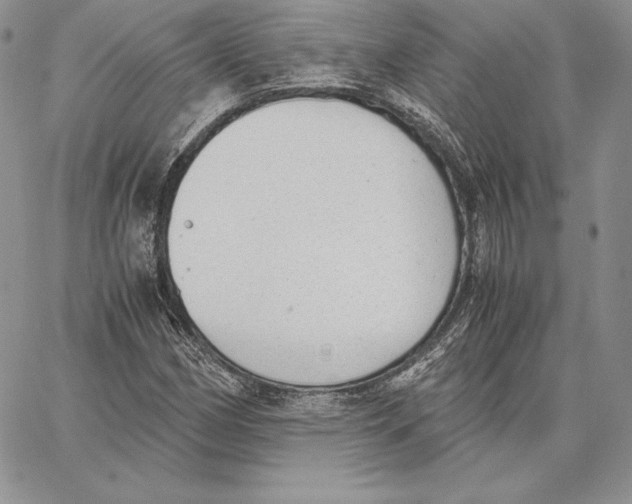 X0000062871162200602031709