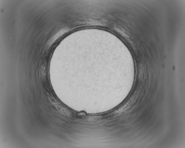 X0000062871163200602031709