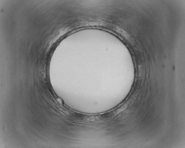 X0000062871165200602031709