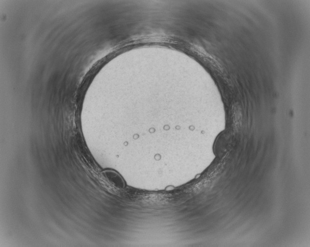 X0000062871166200602031709