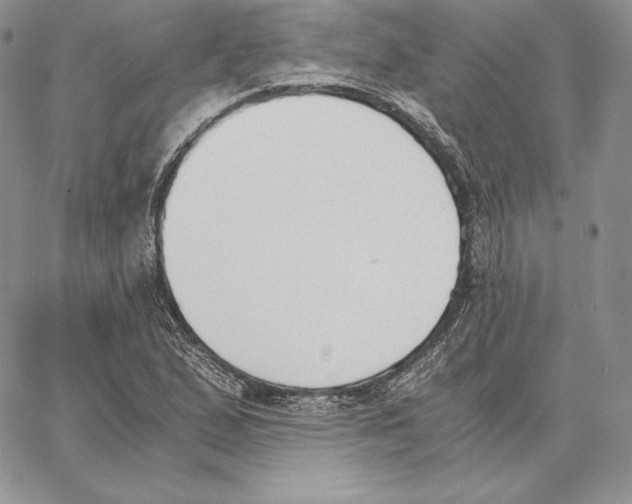 X0000062871167200602031709