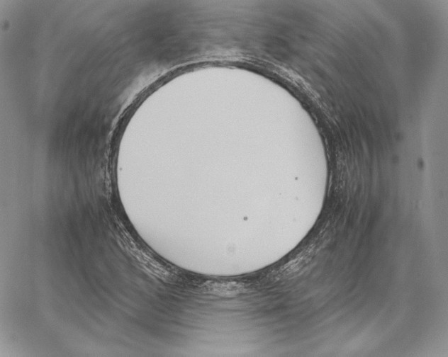 X0000062871168200602031709