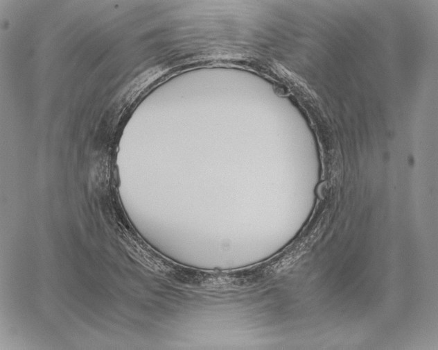 X0000062871169200602031709