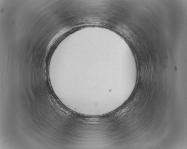 X0000062871172200602031709