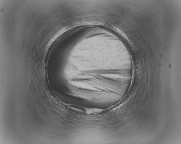 X0000062871173200602031709