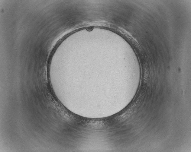 X0000062871174200602031709