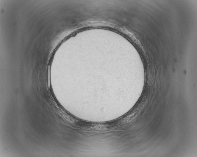 X0000062871175200602031709