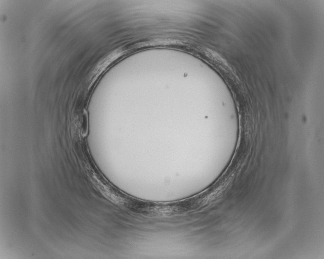 X0000062871177200602031709