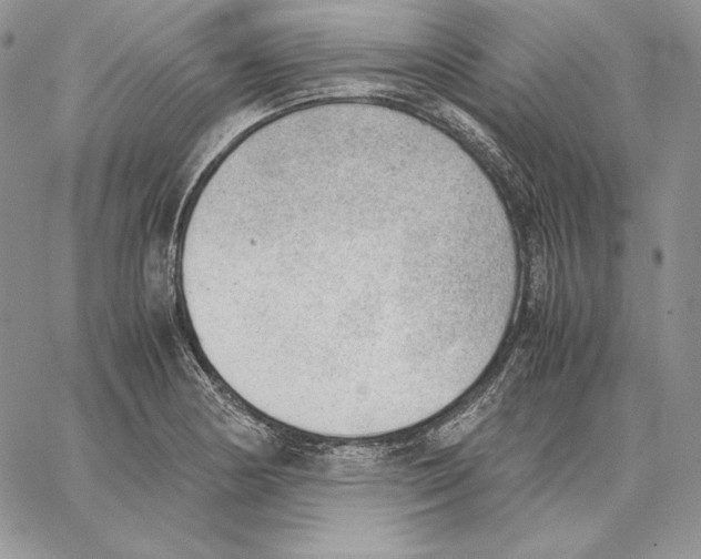 X0000062871178200602031709