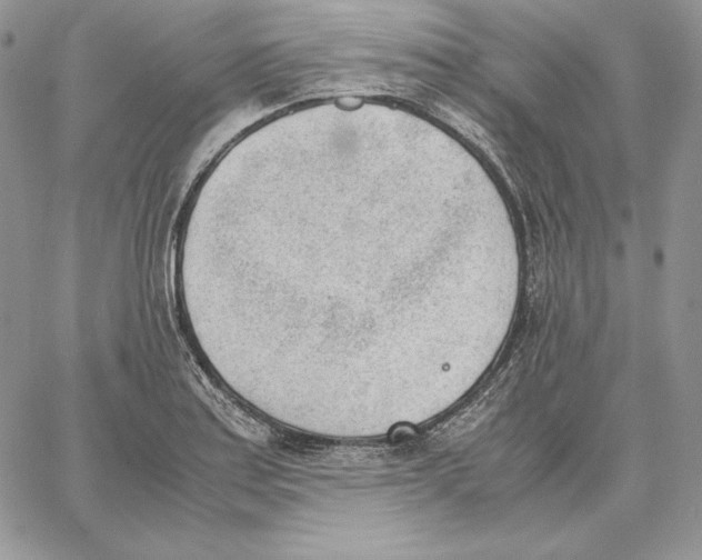 X0000062871179200602031709