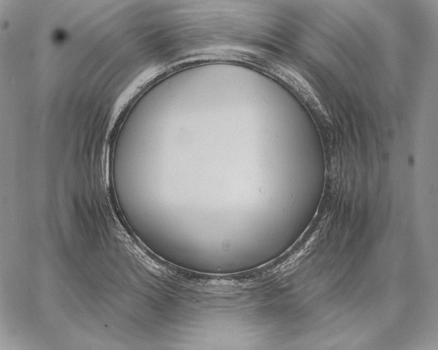 X0000062871180200602031709