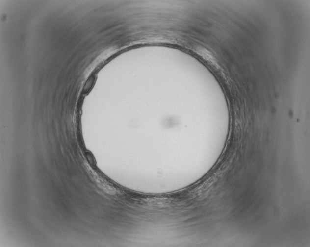 X0000062871181200602031709