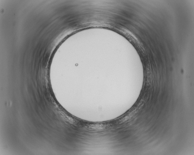 X0000062871182200602031709