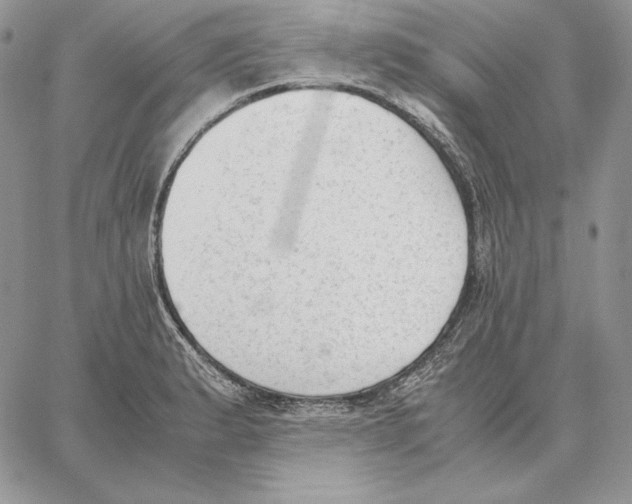 X0000062871183200602031709