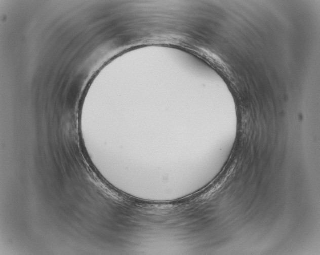 X0000062871184200602031709