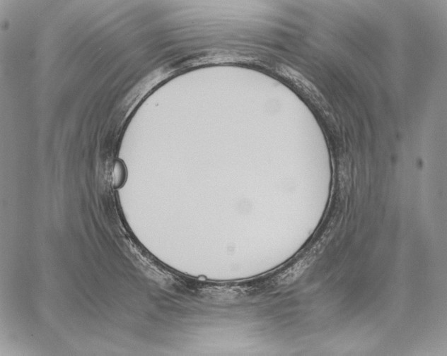 X0000062871185200602031709