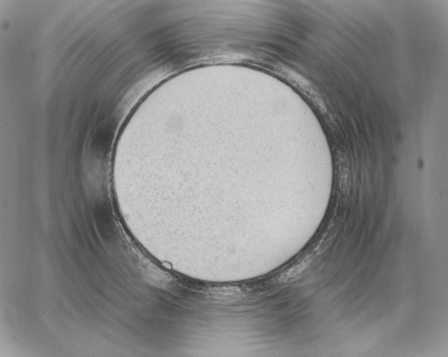 X0000062871186200602031709