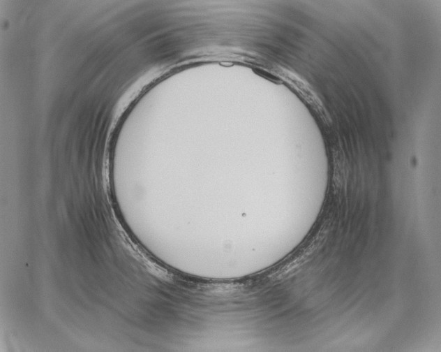 X0000062871188200602031709