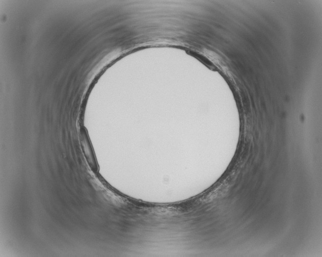 X0000062871189200602031709