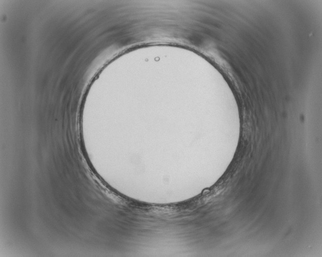 X0000062871191200602031709