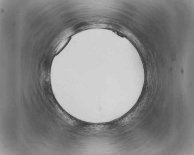 X0000062871193200602031709