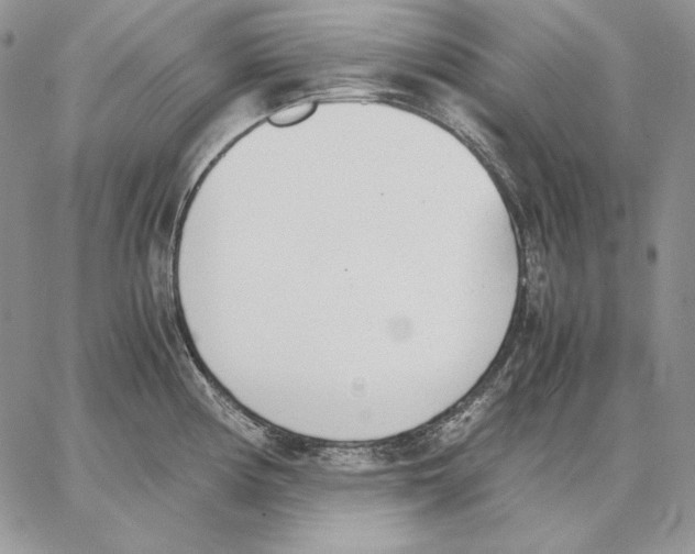 X0000062871194200602031709