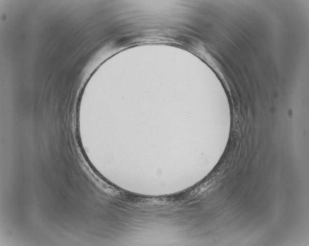 X0000062871195200602031709