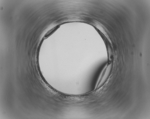 X0000062871197200602031709