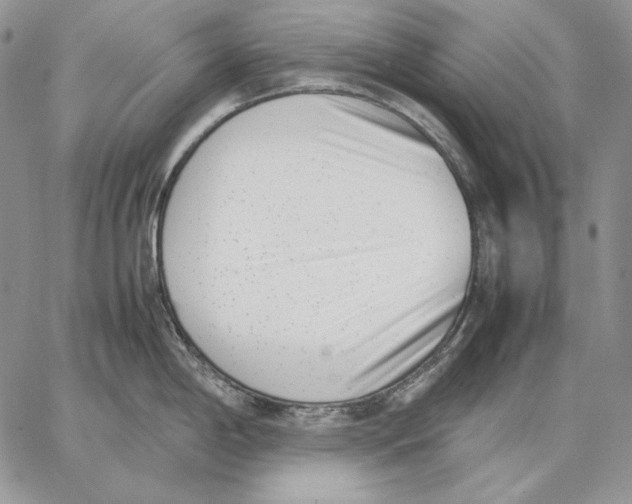 X0000062871198200602031709