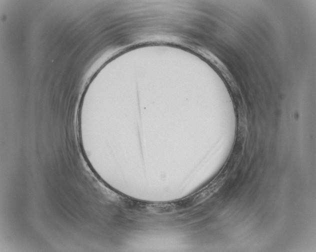 X0000062871199200602031709