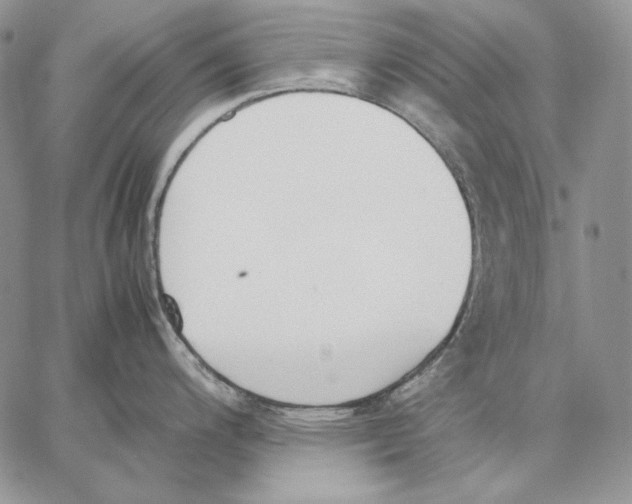 X0000062871200200602031709