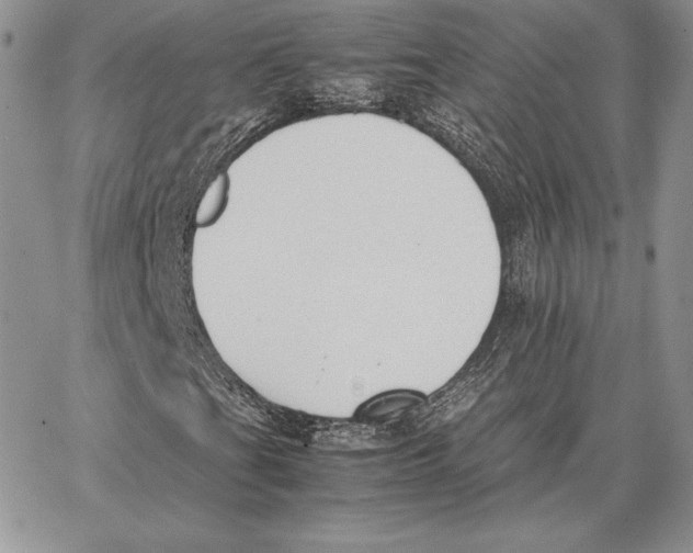 X0000062871201200602031708